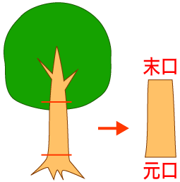 元口末口
